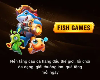Điều khoản minh bạch BLL55