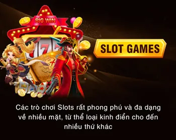 Chương trình VIP BLL55